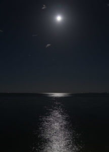 Full moon on the Townsville foreshore, preceding the coral spawning
