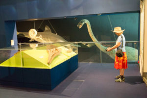 Displays in museum