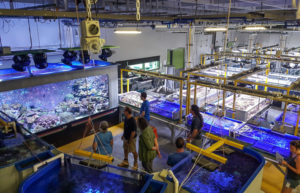 AIMS facilities