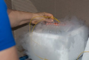 Cryo-Lab setup at AIMS
