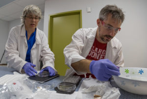 Jill and Mike doing science